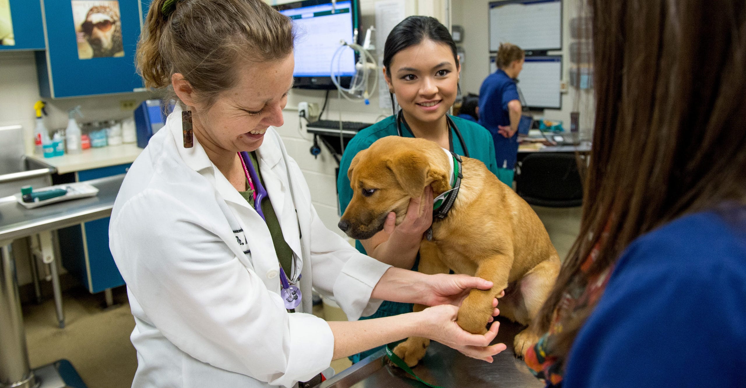 Veterinary Clinic